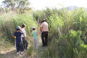 Campamento